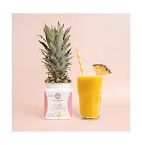 Shape Core Cleanser, Plant-Based Prebiotic Fiber Blend Powder, Digestive & Bloat Relief, Pineapple Vanilla, Sunwarrior, 270g
