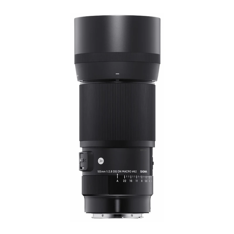 Sigma 105mm f/2.8 Dg Dn Macro Art Lens for Sony E