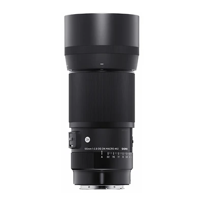 Sigma 105mm f/2.8 Dg Dn Macro Art Lens for Sony E