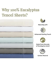 Aston and Arden Eucalyptus Tencel Queen Sheet Set, 1 Flat Sheet, Fitted 2 Pillowcases, Ultra Soft Fabric, Breathable Cooling, Eco-Friendl