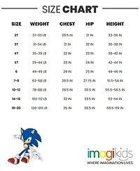 Sega Little Boys Sonic the Hedgehog Tails Knuckles Hoodie to