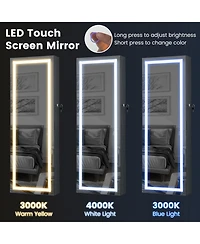 Sugift 42.5 Inches Lockable Jewelry Mirror Wall Cabinet with 3-Color Led Lights