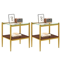 Streamdale Furniture Set of 2 Rectangle End Table, Tempered Glass Tabletop with Mdf layer, Modern Table for Living Room, Transparent Glass
