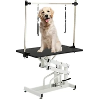 43 Inch Adjustable Heavy Type Hydraulic Pet Dog Grooming Table Upgraded Professional Drying Table Heavy Duty Frame with Adjustable Arm and Noose