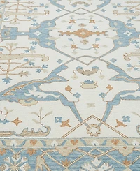 Exquisite Rugs Claremont Oushak 6'x9' Area Rug