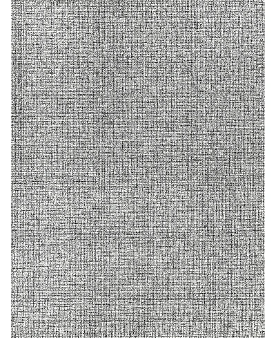 Exquisite Rugs Caprice 2'x3' Area Rug