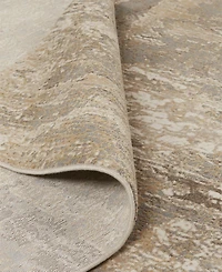 Feizy Parker 3701F 2'1"x3' Area Rug