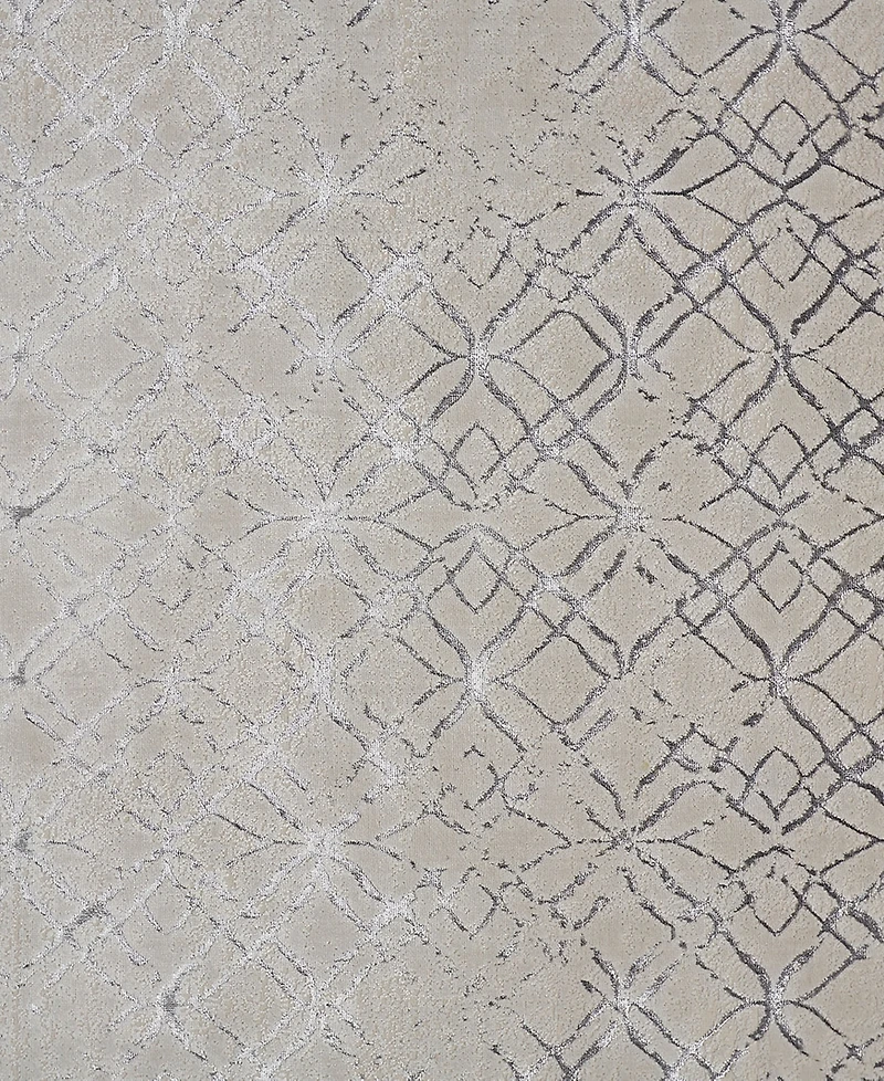 Feizy Micah 3047F 5'x8' Area Rug