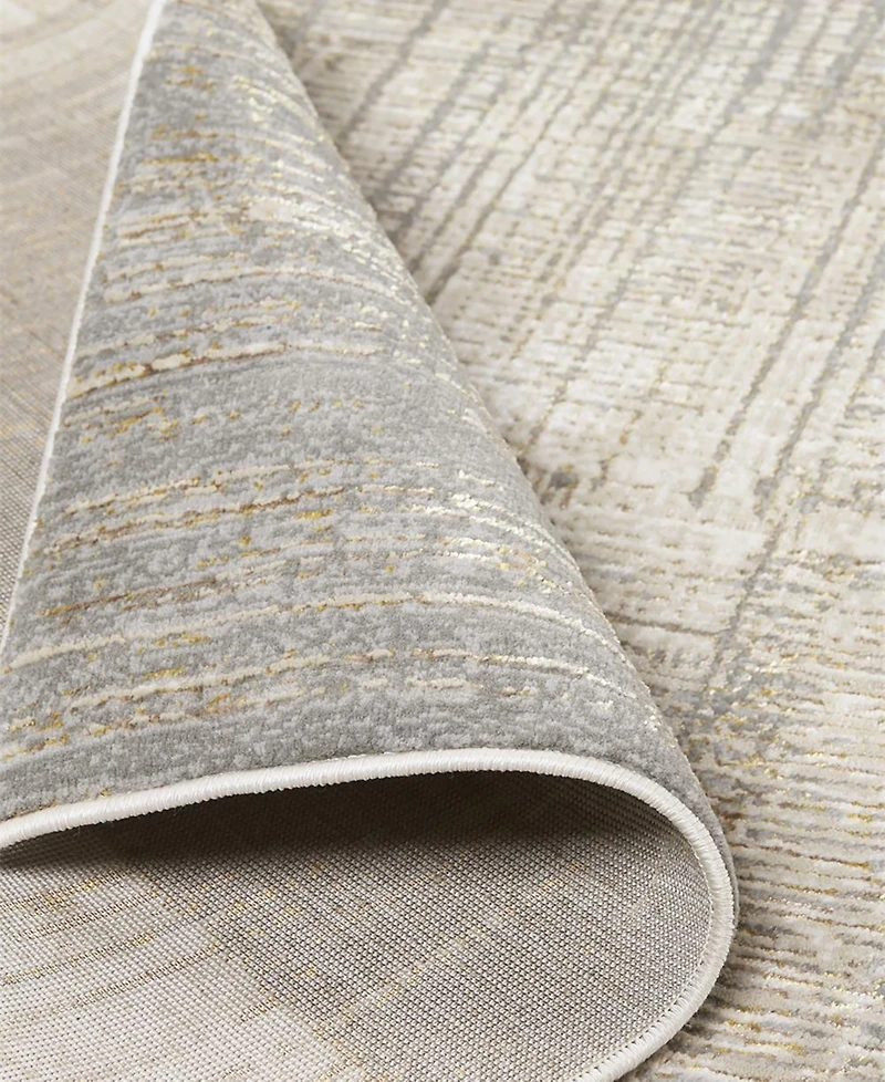 Feizy Aura 3736F 3'11"x6' Area Rug