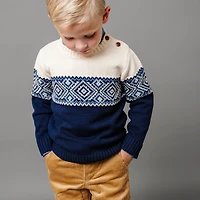 Hope & Henry Boys Organic Long Sleeve Intarsia Crew Neck Pullover Sweater with Buttons
