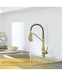 Flynama Pull out Touchless Single Handle Kitchen Faucet with MotionSense In Brushed Gold