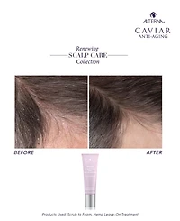 Alterna Renewing Scalp Care Hemp Leave-On Treatment, 2.5 oz.