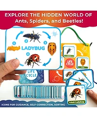 Quokka Life Cycle Kit Toy Montessori - Flash Cards Science Activities