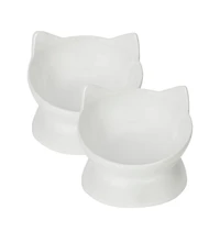 Park Life Designs Set of two Oscar Collection Tilted Rasied Cat Dishes