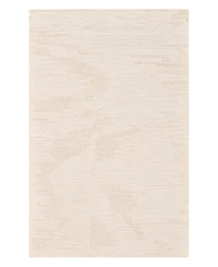 Amer Rugs Mexico MEX5 8'x10' Area Rug