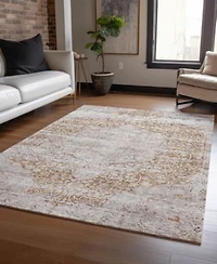 Addison Chantille Machine Washable Acn1146 Area Rug Collection