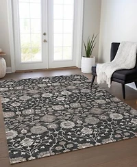 Addison Chantille Machine Washable Acn1155 Area Rug Collection