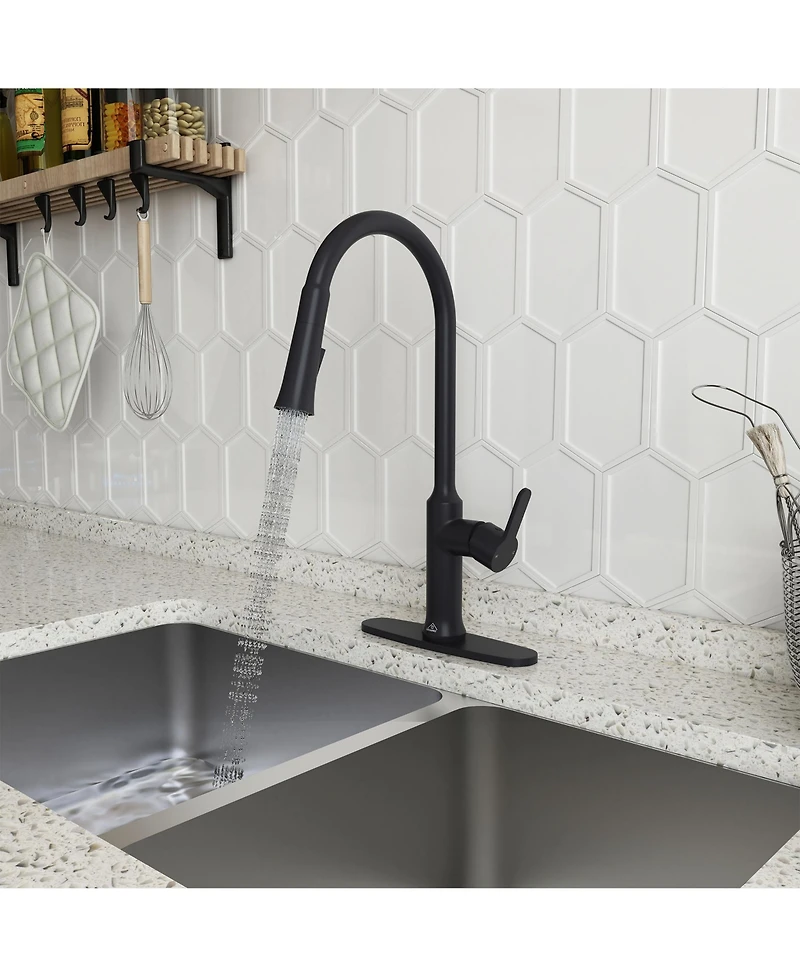 Casainc 1.8 Gpm Single-Handle Pull-Down Kitchen Faucet Single Hole Faucet