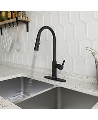 Casainc 1.8 Gpm Single-Handle Pull-Down Kitchen Faucet Single Hole Faucet