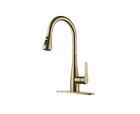 Casainc 1.8 Gpm Pull Down Kitchen Faucet with Deck Plate