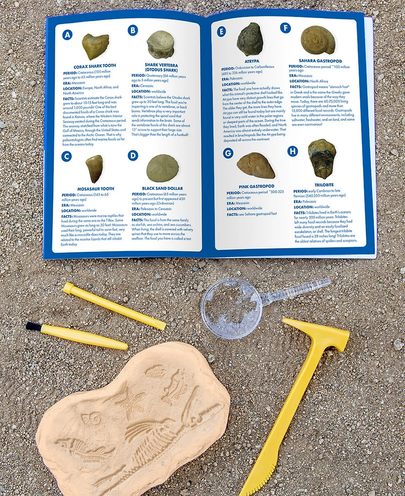 Educational Insights GeoSafari Jr. Fossil Excavation Kit
