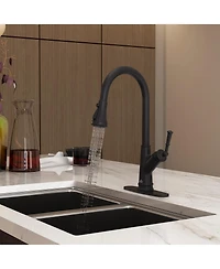 Casainc Single-Handle Pull-Down Kitchen Faucet Single Hole Faucet 1.8 Gpm
