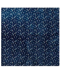 Lucky Brand Daisy Floral Cozy Plush Blanket, Twin/Twin Xl