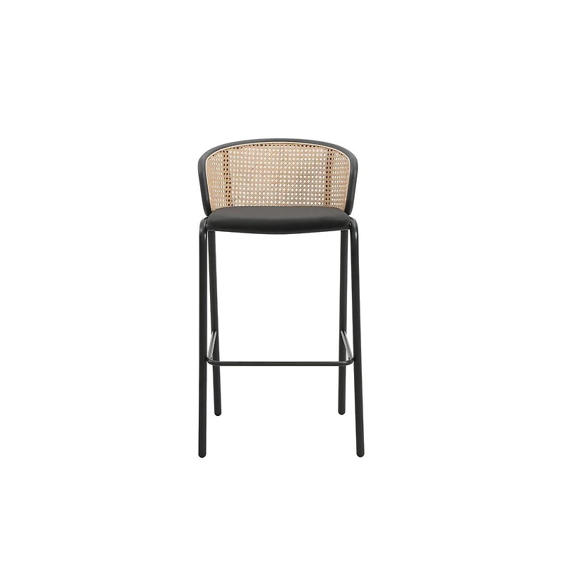 LeisureMod Seat and Black Powder Coated Steel Frame, Set of 2