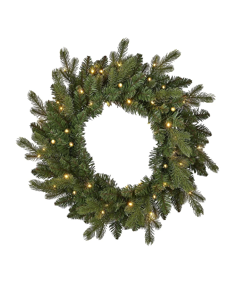 Seasonal 24" Palmetto Pine Wreath, 50 Dual Led Lights
