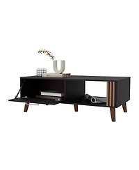 Fm Furniture Govan Coffee Table with a Door, Conical Legs, and Open Storage, Wengue