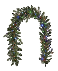 Seasonal 6ft Palmetto Pine Garland, 50 Dual Led Lights