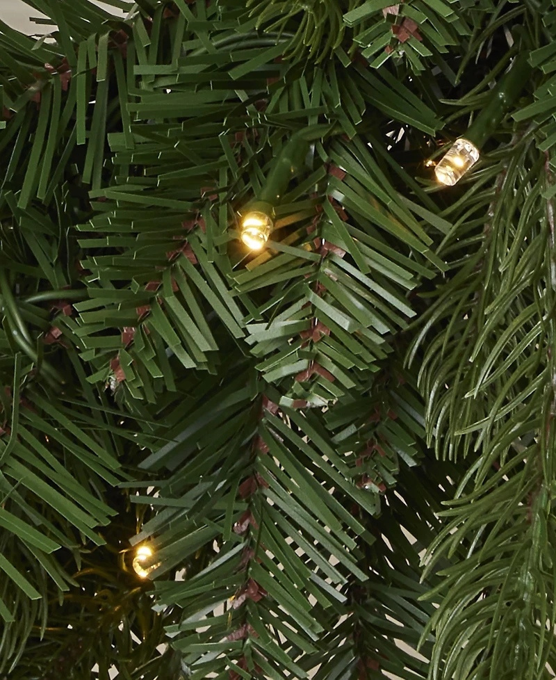 Seasonal 24" Palmetto Pine Wreath, 50 Dual Led Lights