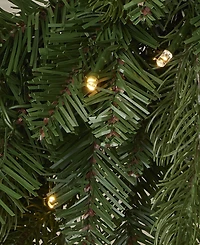 Seasonal 24" Palmetto Pine Wreath, 50 Dual Led Lights