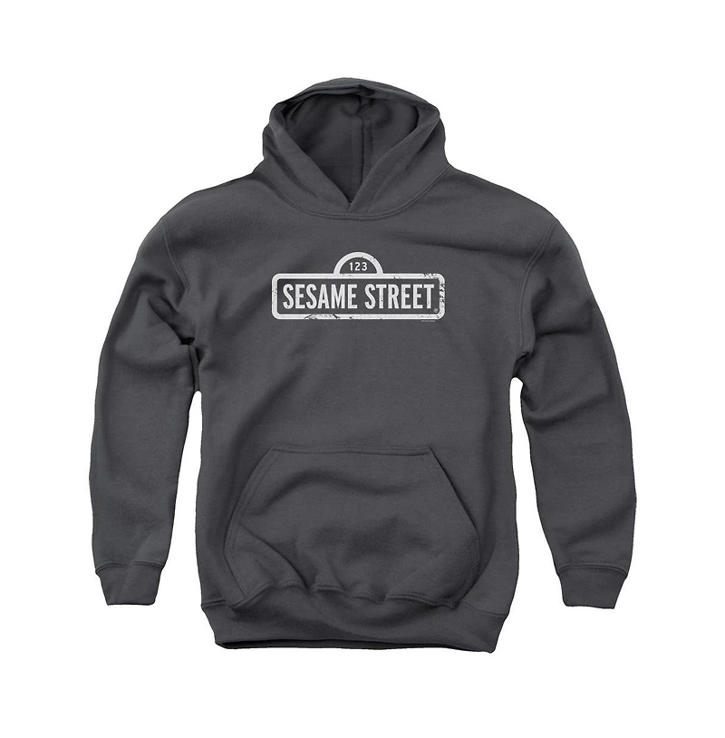 Sesame Street Youth One Color Logo Pull Over Hoodie
