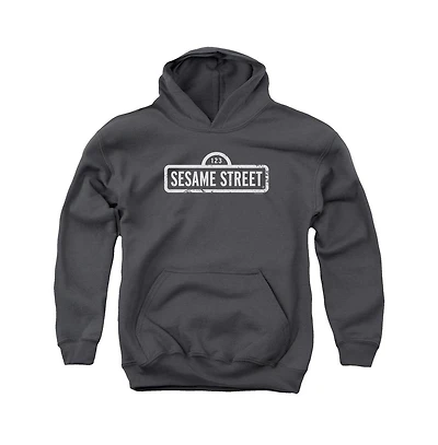 Sesame Street Youth One Color Logo Pull Over Hoodie