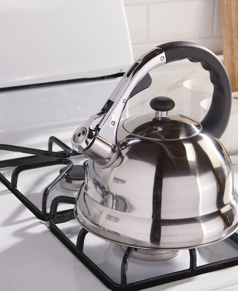 GoodCook Stainless Steel 3-Liter Tea Kettle