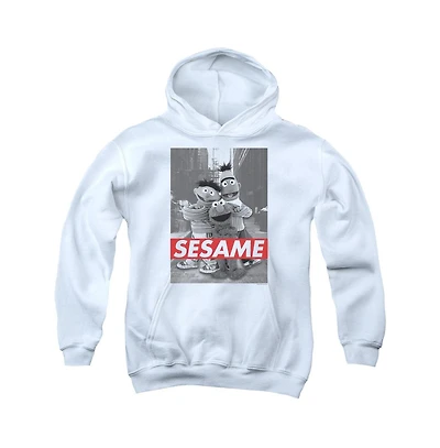 Sesame Street Youth Pull Over Hoodie