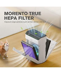 Morento MR5866 Air Purifier Replacement Filter, True Hepa Filter Compatible with MR5866, Multifunctional Version, 2 Pack