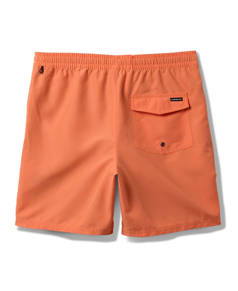 Quiksilver Men's Everyday Solid Volley 15 Swim Shorts