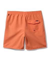 Quiksilver Men's Everyday Solid Volley 15 Swim Shorts
