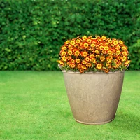 Indoor/Outdoor Patio, Garden, or Porch Weather-Resistant Double-Walled Anjelica Flower Pot Planter - 24"