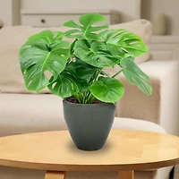 Resort High-Fired Outdoor/Indoor Glazed Uv- and Frost-Resistant Ceramic Planters with Drainage Holes