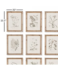 Botanical Illustrations Set of 9