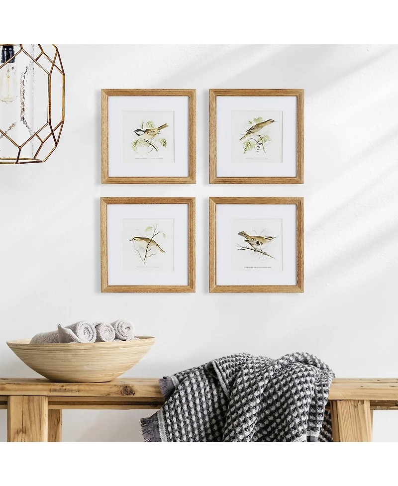 Perching Bird Study Petite Set of 4