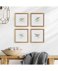 Perching Bird Study Petite Set of 4