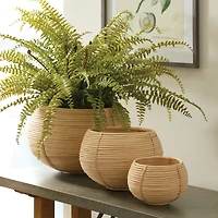 Cane Rattan Plant Baskets Set of 3