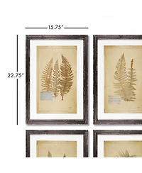 Framed Vintage Fern Prints Set of 8