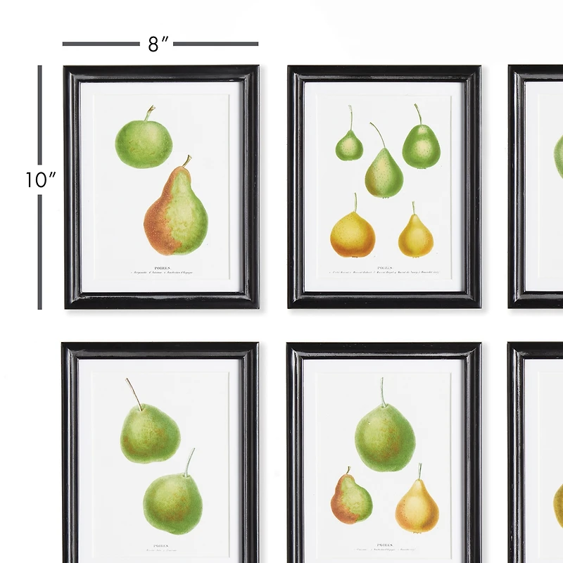 Pear Study, Set Of 6 Wall Art