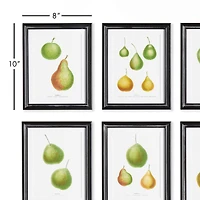 Pear Study, Set Of 6 Wall Art