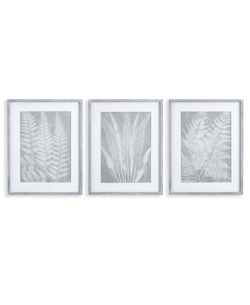Fern Frond Prints, Set Of 3